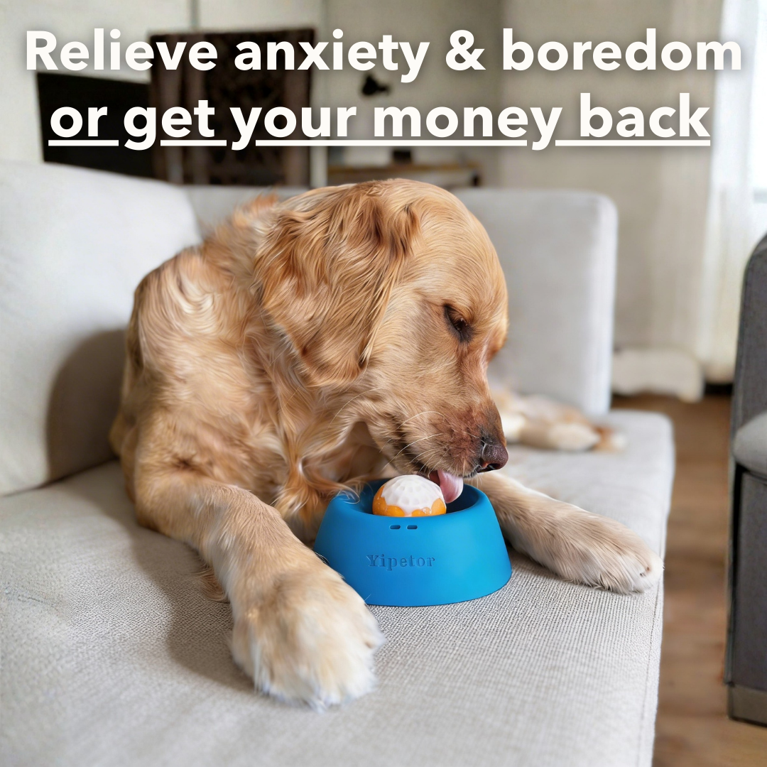 Anxiety-relief licking bowl