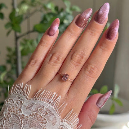 adjustable chain ring